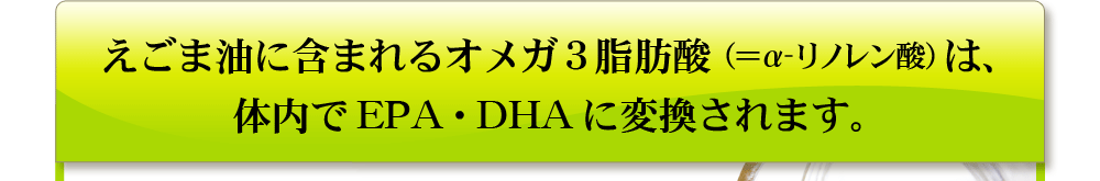 えごま油に含まれるオメガ３脂肪酸（＝α-リノレン酸）は、体内でEPA・DHAに変換されます。