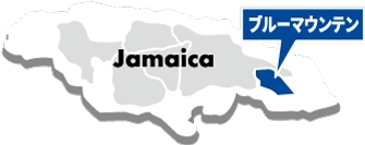 ジャマイカ政府によって明瞭に境界線をひかれたエリアがブルーマウンテンです。