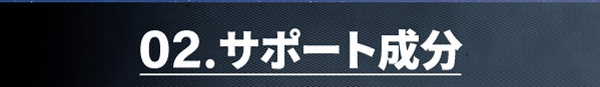 ２、サポート成分