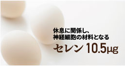 セレン 10.5㎍配合。休息に関係し、神経細胞の材料となります。
