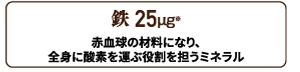 鉄 25㎍配合。赤血球の材料になり、全身に酸素を運ぶ役割を担うミネラル