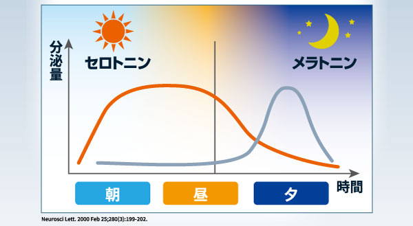 セロトニン分泌量は朝から昼にかけ多くなり夜はへり、逆にメラトニンは朝から昼は分泌されず、夜に分泌量が多くなります。