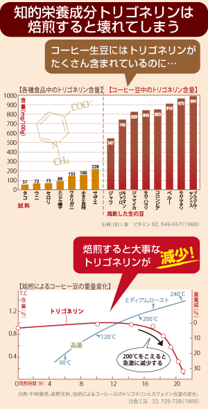 トリゴネリン含有量と焙煎による減少のグラフ